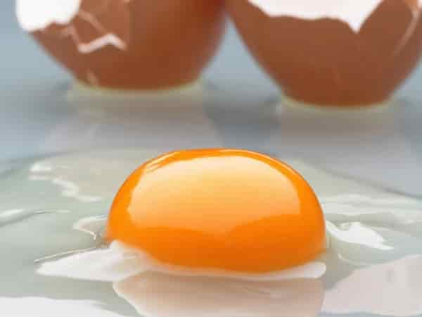 تصویر 4 از قیمت تخم مرغ 2 زرده + خرید باور نکردنی